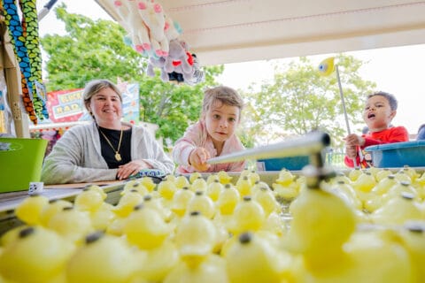 Maifest Maikammer | Verein Südliche Weinstrasse Maikammer e.V.