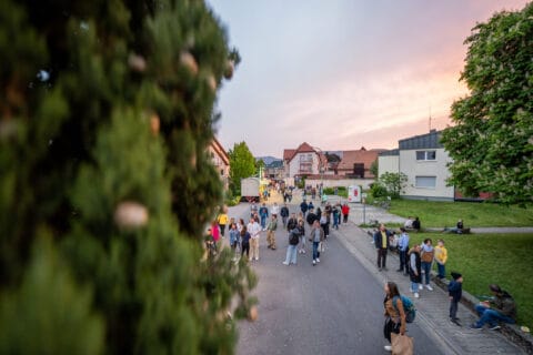 Maifest Maikammer | Verein Südliche Weinstrasse Maikammer e.V.