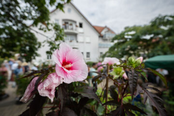 Einmal Zitronenlimonade bitte ;) | Maikammer feiert Pfälzer Gartenmarkt 2023 | Werbe und Reportagefotograf Schepers