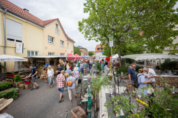 Einmal Zitronenlimonade bitte ;) | Maikammer feiert Pfälzer Gartenmarkt 2023 | Werbe und Reportagefotograf Schepers