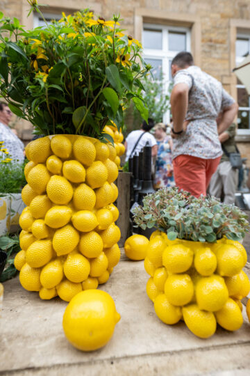 Einmal Zitronenlimonade bitte ;) | Maikammer feiert Pfälzer Gartenmarkt 2023 | Werbe und Reportagefotograf Schepers