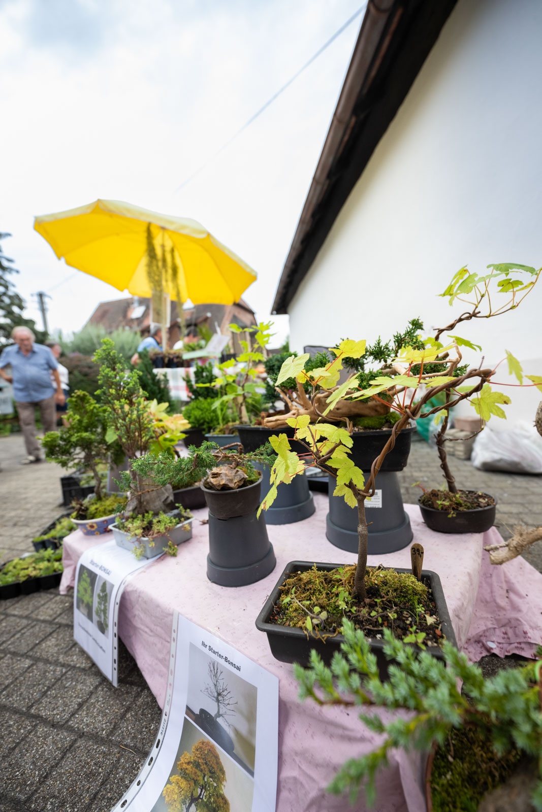 Einmal Zitronenlimonade bitte ;) | Maikammer feiert Pfälzer Gartenmarkt 2023 | Werbe und Reportagefotograf Schepers