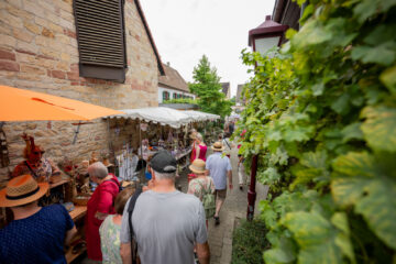 Einmal Zitronenlimonade bitte ;) | Maikammer feiert Pfälzer Gartenmarkt 2023 | Werbe und Reportagefotograf Schepers