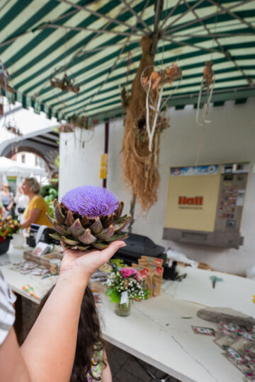 Einmal Zitronenlimonade bitte ;) | Maikammer feiert Pfälzer Gartenmarkt 2023 | Werbe und Reportagefotograf Schepers
