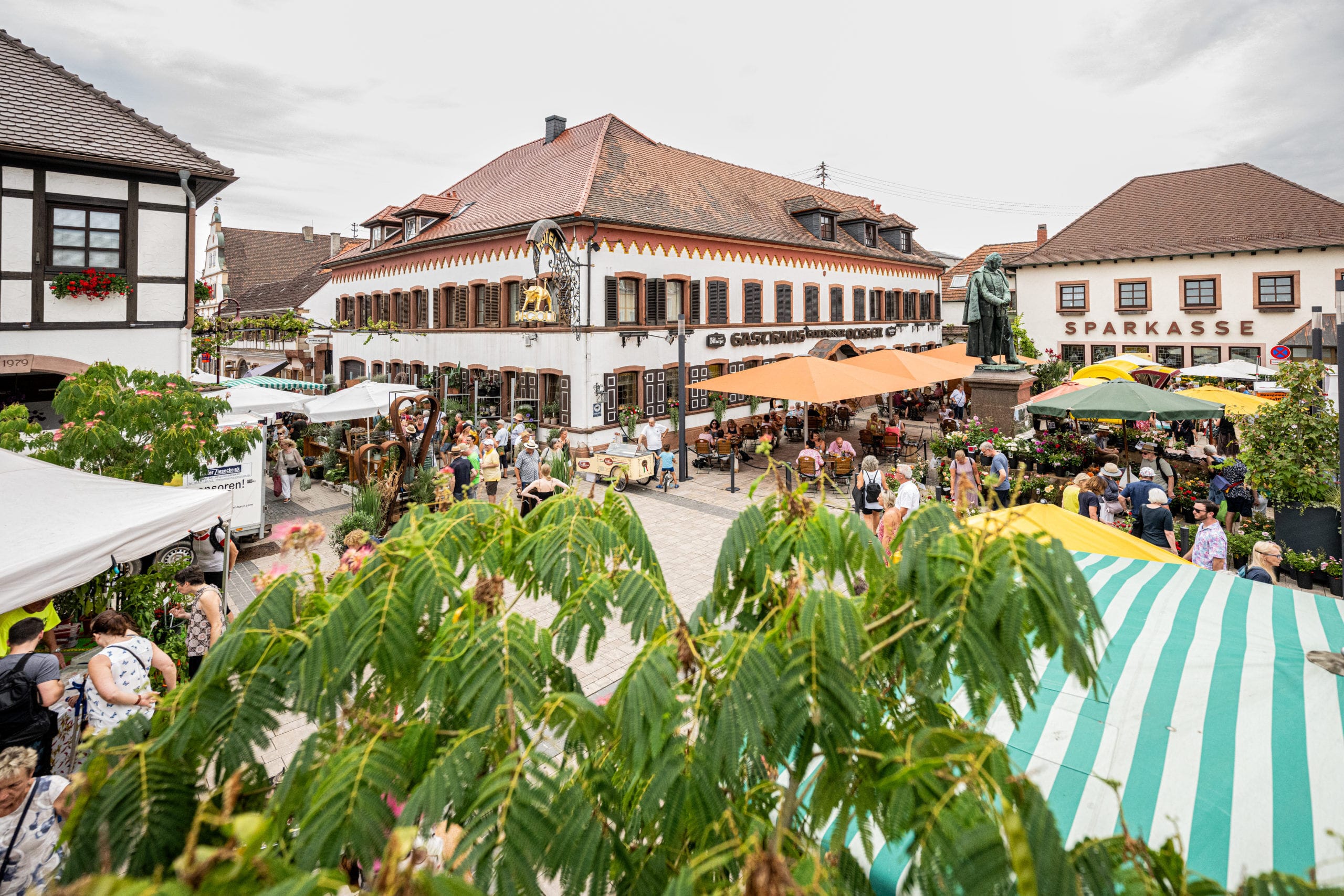 One lemonade please ;) | Maikammer celebrates Palatinate Garden Market 2023 | Advertising and reportage photographer Schepers