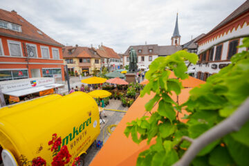 Einmal Zitronenlimonade bitte ;) | Maikammer feiert Pfälzer Gartenmarkt 2023 | Werbe und Reportagefotograf Schepers