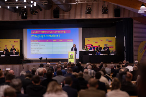 Political meeting with presentation and audience